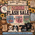 Name Your Hollow Box – Flash Sale Mystery Box - The Hidden Hollow Co.