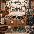 Surprise Boxes. 2 available! 💜 - The Hidden Hollow Co.